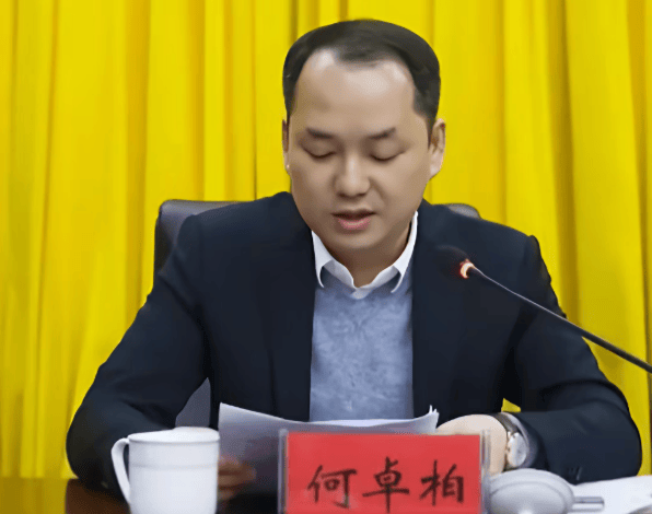 何卓柏<strong></p>
<p>火花币</strong>，严重违纪违法