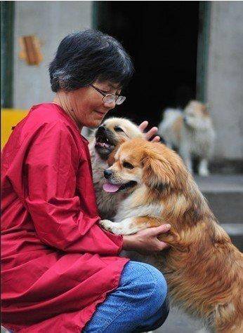 合肥卖房救助流浪狗的魏阿姨离世<strong></p>
<p>币数字</strong>，病中仍然惦记着基地的600只流浪狗，工人：不敢相信世上还有这样执着的人