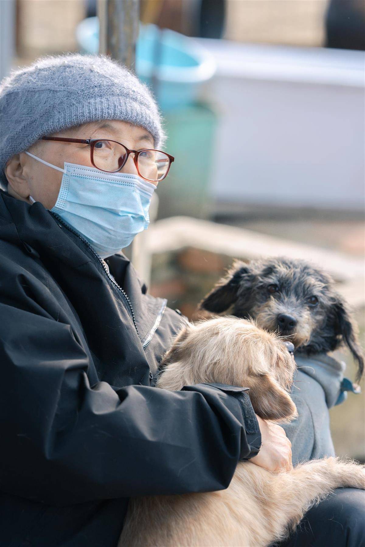 合肥卖房救助流浪狗的魏阿姨离世<strong></p>
<p>币数字</strong>，病中仍然惦记着基地的600只流浪狗，工人：不敢相信世上还有这样执着的人