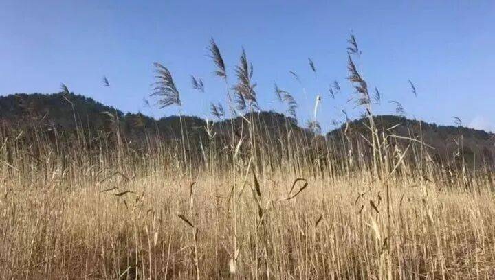 禁止任何形式穿越<strong></p>
<p>帮呗币每日价格</strong>!杭州一地发布最严禁令