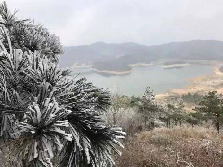 禁止任何形式穿越<strong></p>
<p>帮呗币每日价格</strong>!杭州一地发布最严禁令