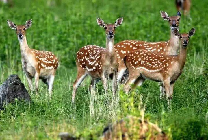 禁止任何形式穿越<strong></p>
<p>帮呗币每日价格</strong>!杭州一地发布最严禁令