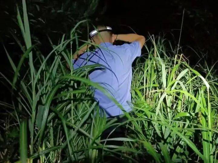 禁止任何形式穿越<strong></p>
<p>帮呗币每日价格</strong>!杭州一地发布最严禁令