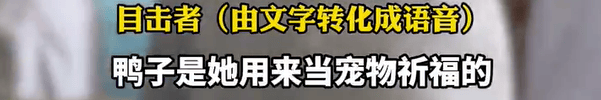 养了四年的宠物鸭被汽车碾死<strong></p>
<p>南京币天下</strong>，老太太当街包鸭痛哭，目击者：她老伴重病，鸭子是用来祈福的