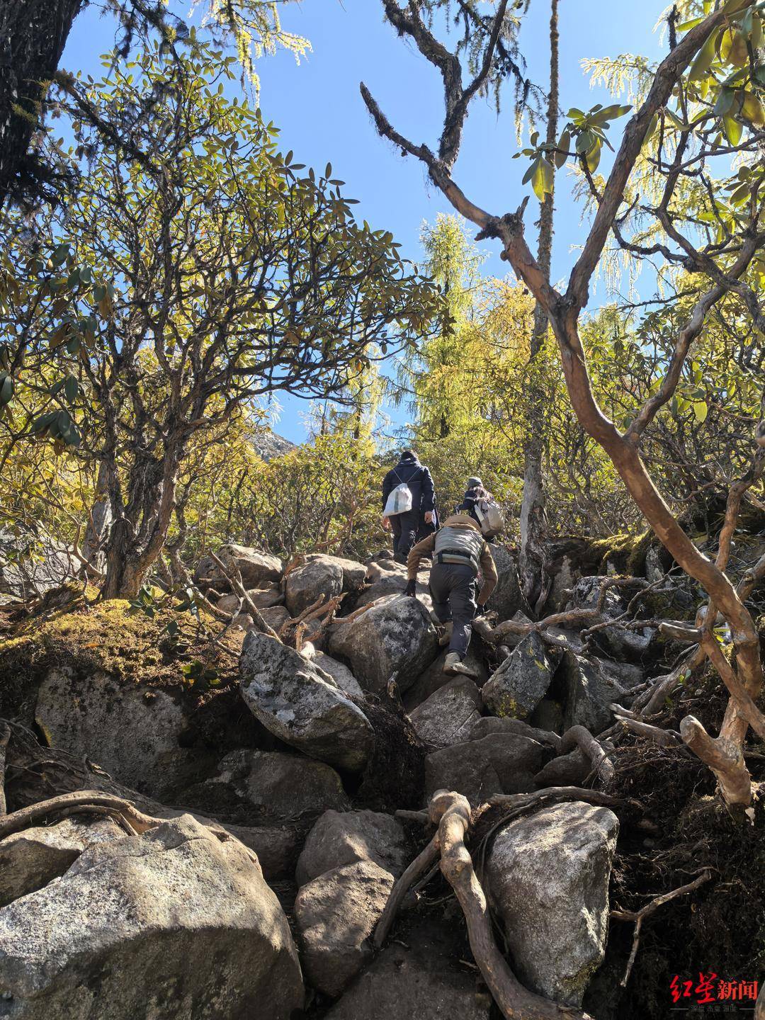 川西登山徒步乱象调查①丨重走党岭高反女孩徒步路线：山高路险！有团队未带食物<strong></p>
<p>币今</strong>，报警多是迷路