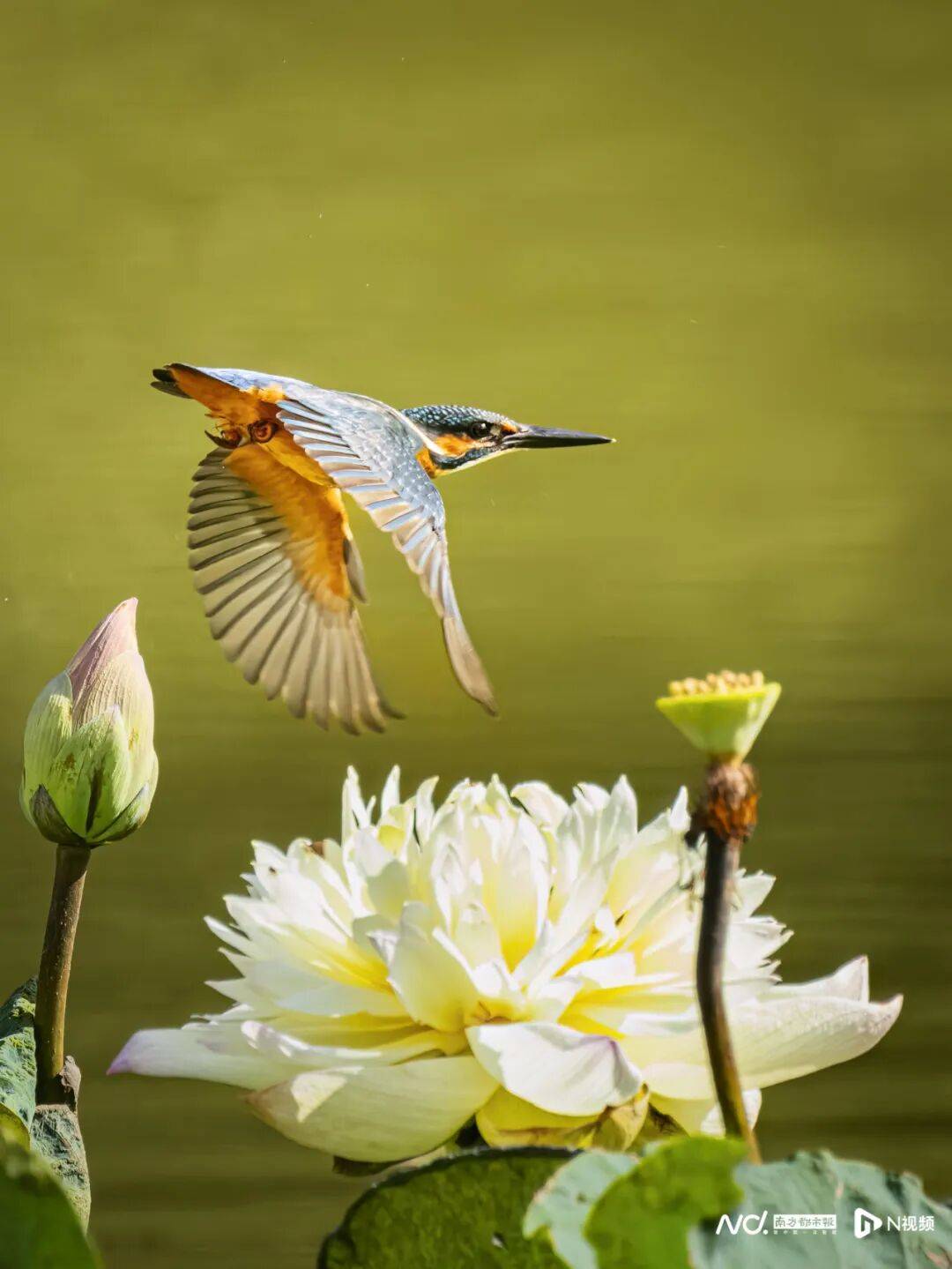 东莞最新发布：将严厉打击这些行为<strong></p>
<p>币今</strong>！