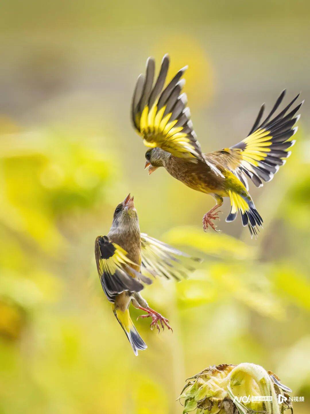 东莞最新发布：将严厉打击这些行为<strong></p>
<p>币今</strong>！