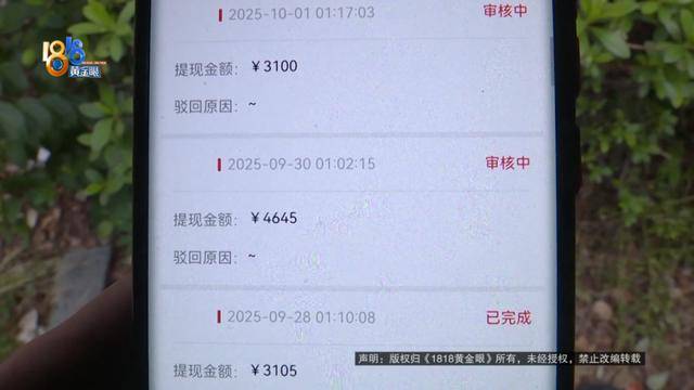 买了66台苹果手机总价50多万！男子放在平台出租<strong></p>
<p>瑞亚币</strong>，如今租金拿不到，手机也要不回来