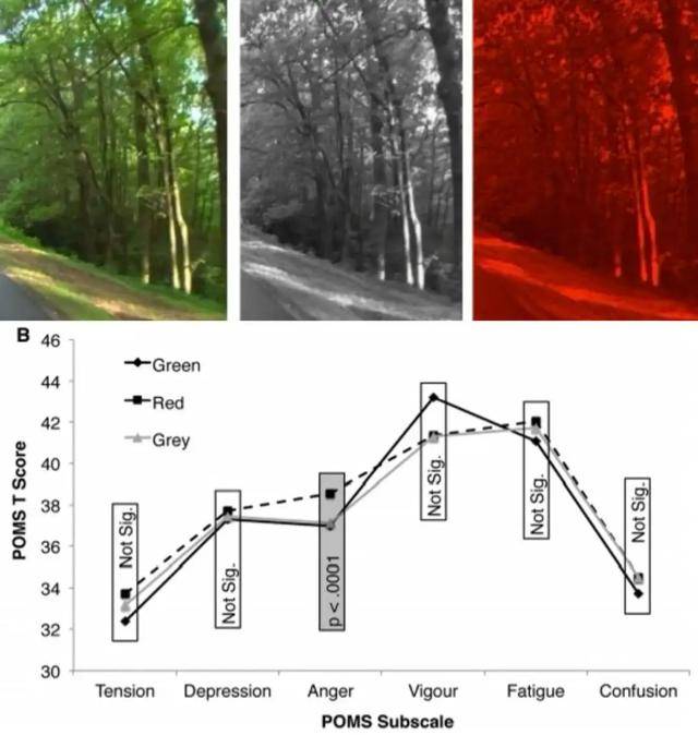 年代剧的墙<strong></p>
<p>瑞亚币</strong>，为什么都是上白下绿？