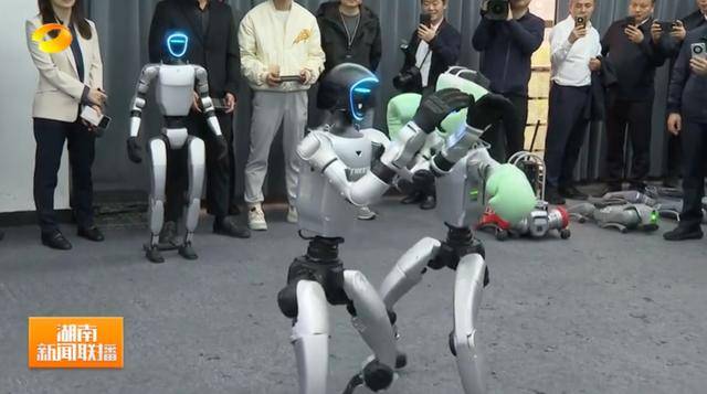 湖南省省长、浙江省省长<strong></p>
<p>瑞亚币</strong>，一同观看机器人表演