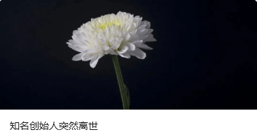 跨境网赌头目佘智江（湖南出生<strong></p>
<p>评价币</strong>，后获柬埔寨国籍），被引渡回中国