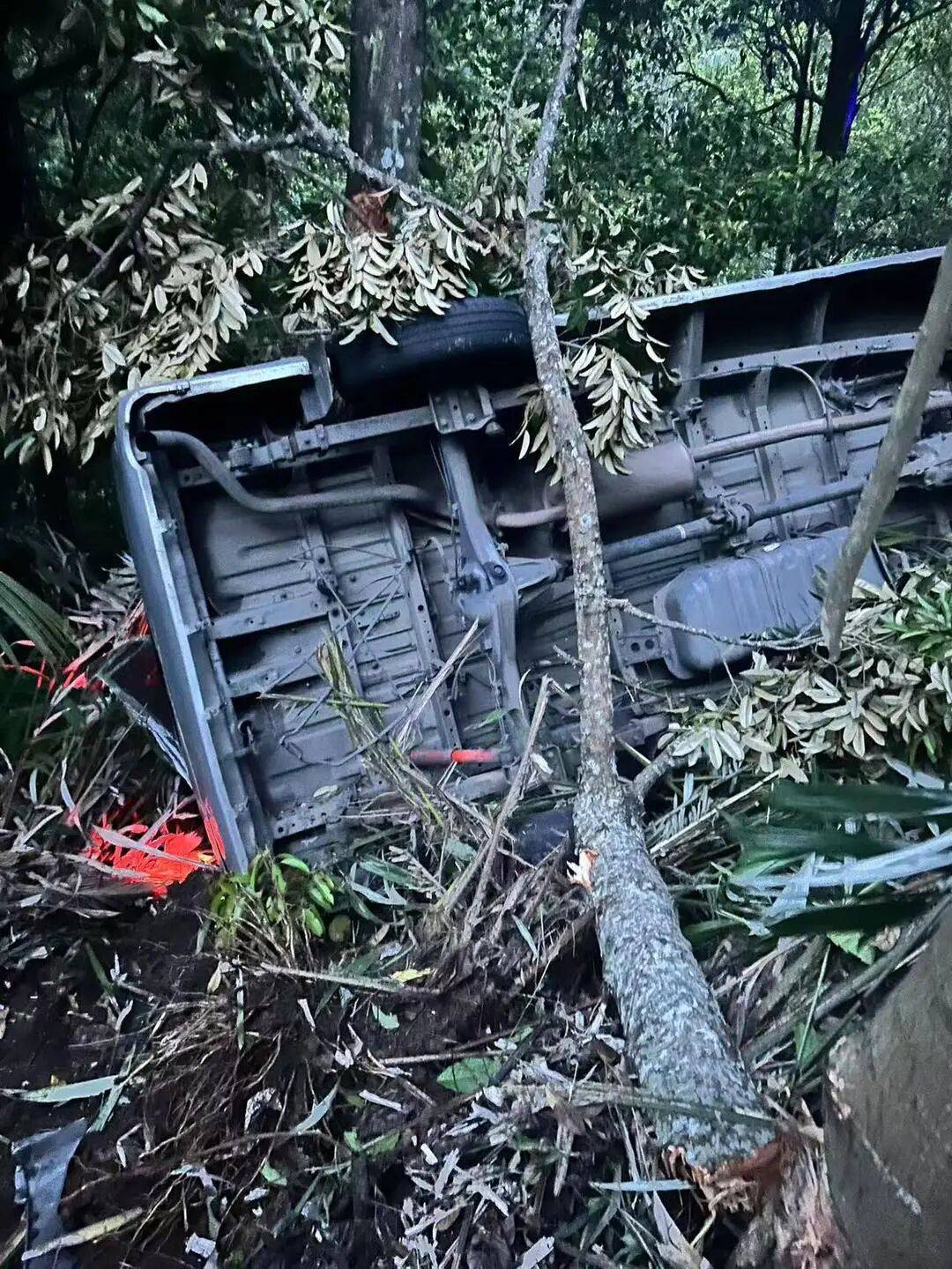 中国公民5死8伤！巴厘岛车祸亲历者发声：司机未采纳建议，事发后独自离开